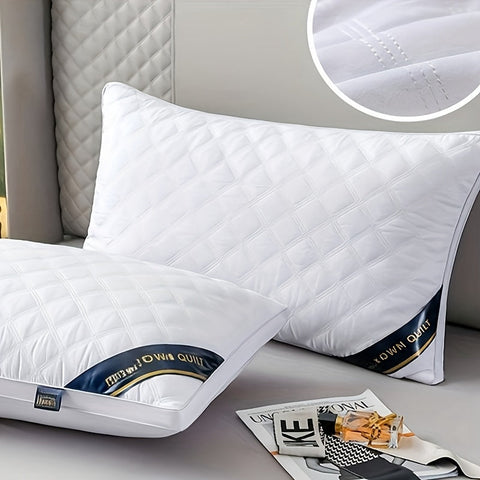 Schlafkomfort Set - 2 Hypoallergene 3D Kissen für Hotelqualität Schlaf
