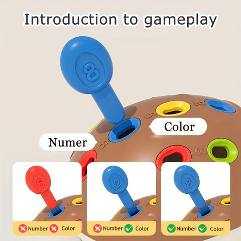 Süßes Igel Lernspielzeug - Lernen und Spielen