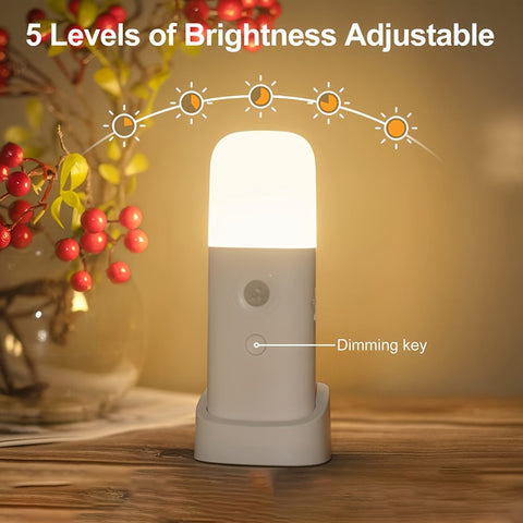 LED Nachtlampe mit Bewegungssensor – USB-aufladbar und einstellbare Helligkeit für Schlafzimmer und Flure