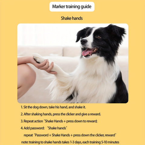 Hunde Trainingsknopf – Verbessere Kommandos und Verhalten deines Hundes