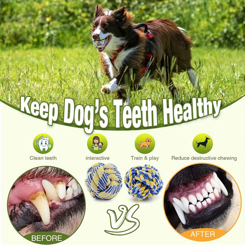 4-teiliges Hundespielzeugset – Ideal zum Kauen, Beißen und Spielen