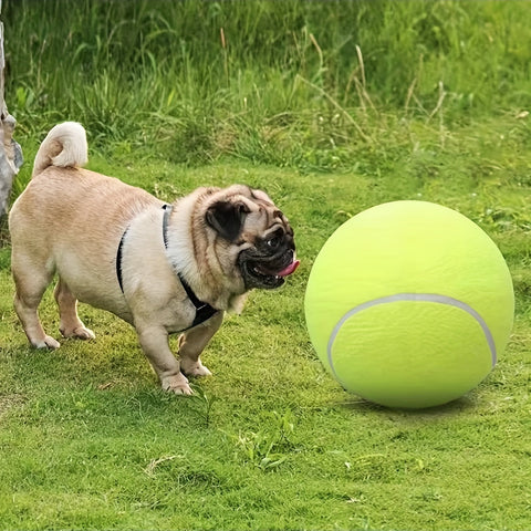 Extra nachhaltiger großer Hundetennisball – Ideal für Spiele und Aktivitäten im Freien