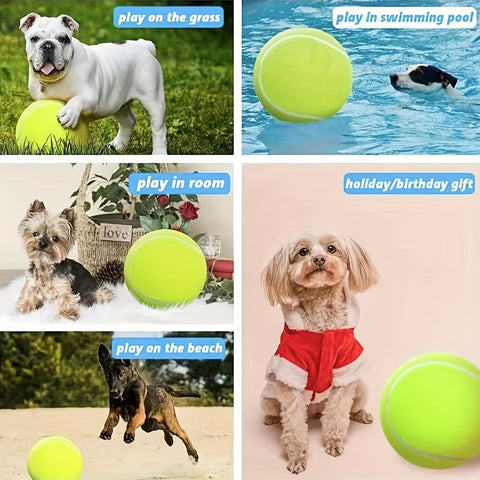 Extra nachhaltiger großer Hundetennisball – Ideal für Spiele und Aktivitäten im Freien