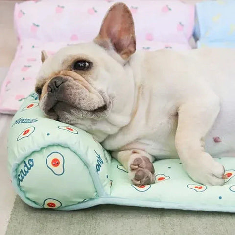 PetChill - Kühlmatte für Hunde und Katzen