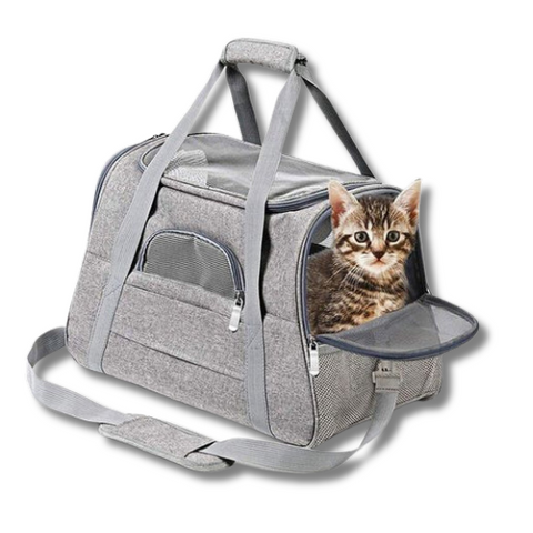 PetVoyage Tasche - Komfortabel & Nachhaltig