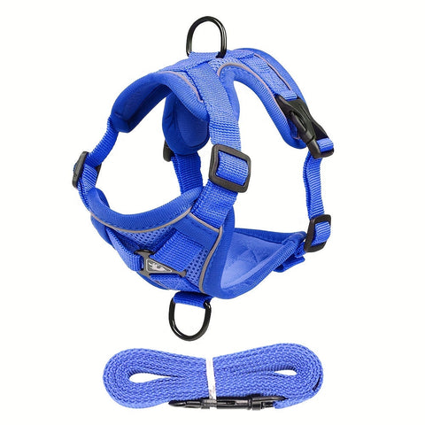Reflektierendes Katzenharness und Leinen-Set – Ideal für Spaziergänge und Training