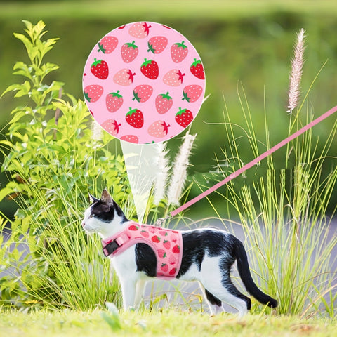 KittyComfort Geschirrset - Für Gemütliche Spaziergänge und Abenteuer