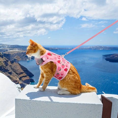 KittyComfort Geschirrset - Für Gemütliche Spaziergänge und Abenteuer