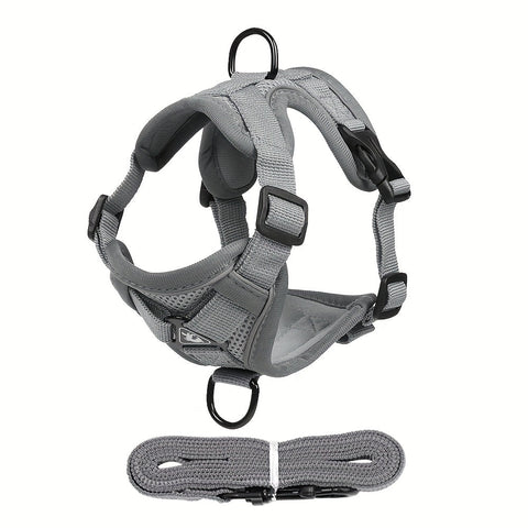 Reflektierendes Katzenharness und Leinen-Set – Ideal für Spaziergänge und Training