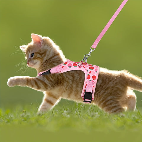 KittyComfort Geschirrset - Für Gemütliche Spaziergänge und Abenteuer