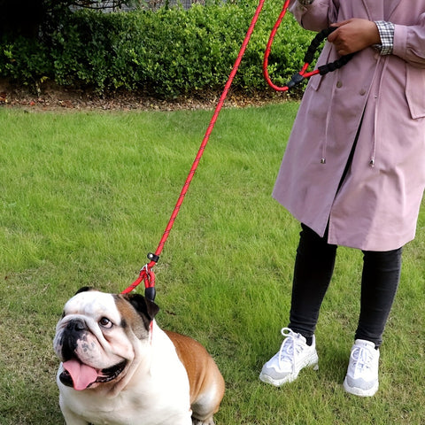Reflektierende Hundeleine mit Gepolstertem Griff – Verstellbar und Langlebig für Alle Hunde