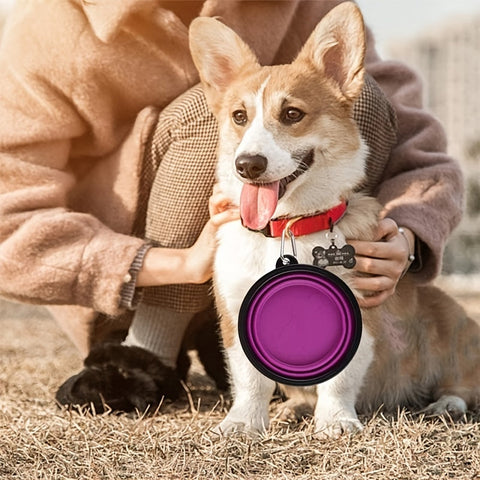 Faltbarer Futter- und Wassernapf – Langlebig und Kompakt für Hunde und Katzen