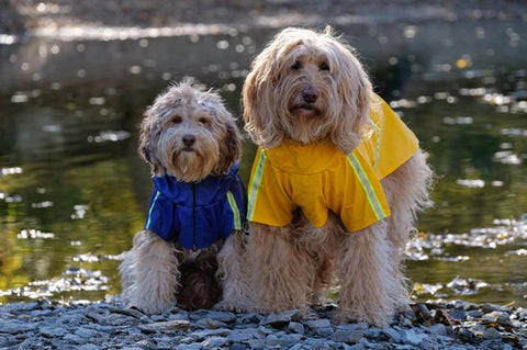 PupJoy - Reflektierende Hunde-Regenjacke + Kapuze - Sicherer Nachtspaziergang