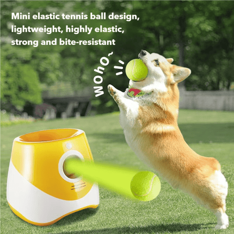 FetchMaster Pro – Interaktive Automatische Hundespielball Launcher mit USB-Ladung