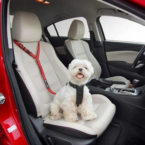 PetSafe - Verstellbarer Autosicherheitsgurt für Hunde