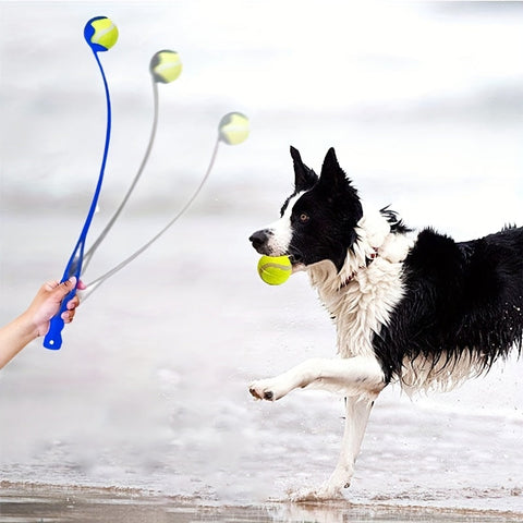 Interaktive Hundespielzeug Launcher – Perfekt für das Apportierspiel und Training