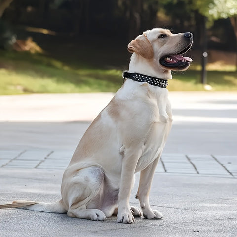 Verstellbarer Stachelhalsband für Hunde - Stark und Sicher für Große Hunde