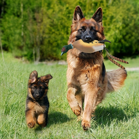 Mallard Retriever – Nachhaltiges Plastikente Bumper Trainingsspielzeug