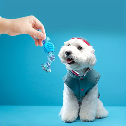 Interaktives Hundekauspielzeug – Mit Buntem Knoten und Gummiball
