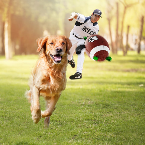 Pfoten-Perfekt Spielfußball – Nachhaltiges Gummi Interaktives Hundespielzeug