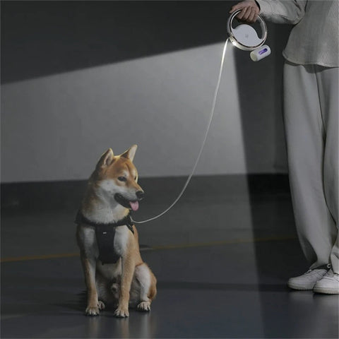 LED Automatische Hundenleine – Ergonomischer Griff & Sicherheitslicht