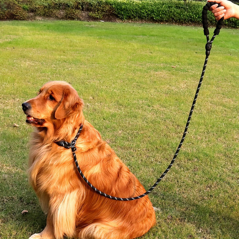 Reflektierende Hundeleine mit Gepolstertem Griff – Verstellbar und Langlebig für Alle Hunde