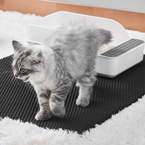 PetPurity Wabenmatte für Katzenstreu