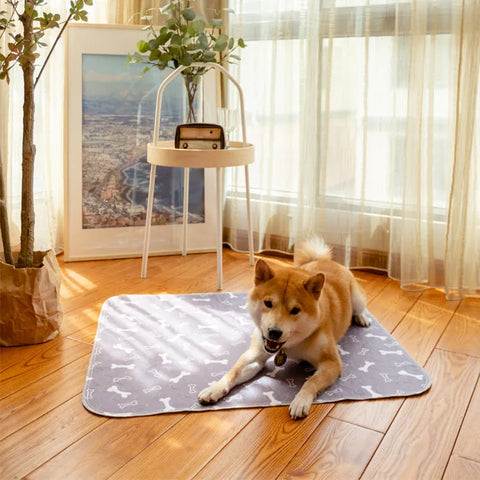 PetPlush - Absorbierende Plasmatte für Hunde