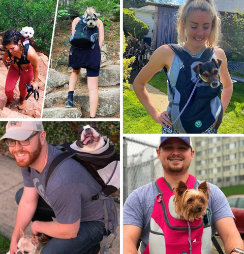 PetAdventure Rucksack - Bequem & Praktisch