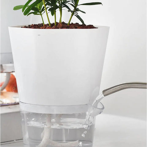 AquaPlanter - Schlauer Blumentopf und Mini-Aquarium in einem