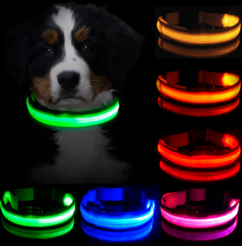 HondVeilig Pro - LED-Halsband für Hunde - Fühle dich sicher und stylisch beim Gassi gehen