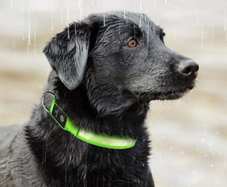 HondVeilig Pro - LED-Halsband für Hunde - Fühle dich sicher und stylisch beim Gassi gehen