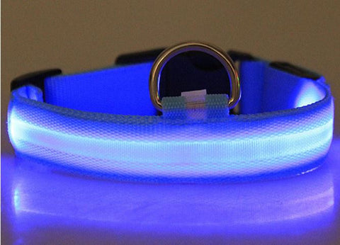 HondVeilig Pro - LED-Halsband für Hunde - Fühle dich sicher und stylisch beim Gassi gehen
