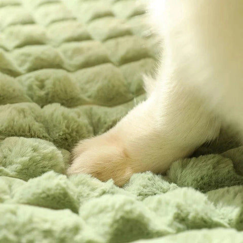 PetEase - Bequemes Hundebett