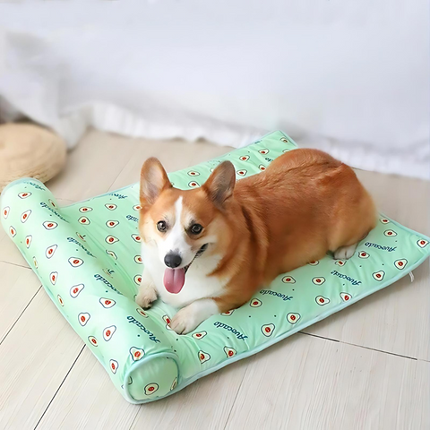 PetChill - Kühlmatte für Hunde und Katzen