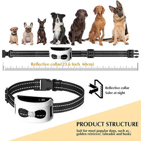 PawPal Drahtlose Hunde Halsband - Freiheit und Sicherheit für deinen Hund