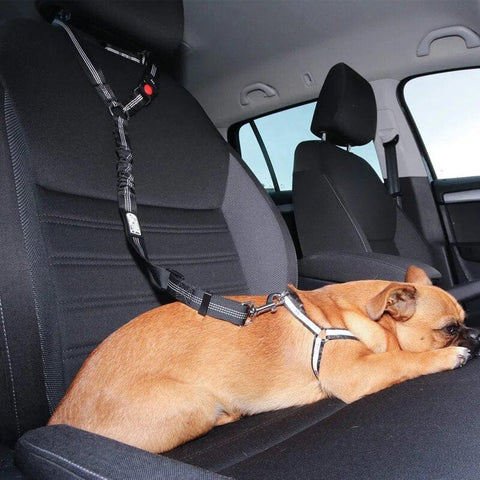 PetSafe - Verstellbarer Autosicherheitsgurt für Hunde