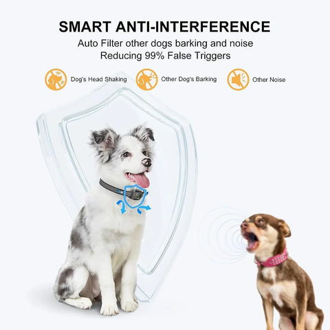 Bark Control Smart Collar - Ruhe für Deinen Hund
