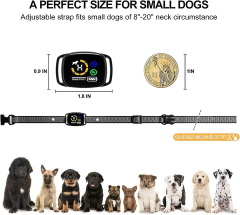 Bark Control Smart Collar - Ruhe für Deinen Hund