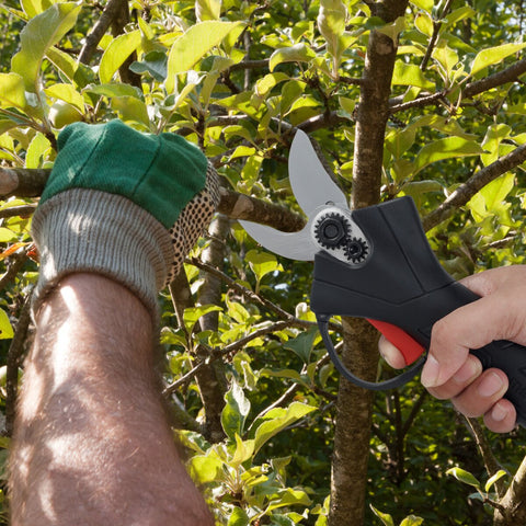 EcoSnip - Drahtlose Elektrische Gartenschere