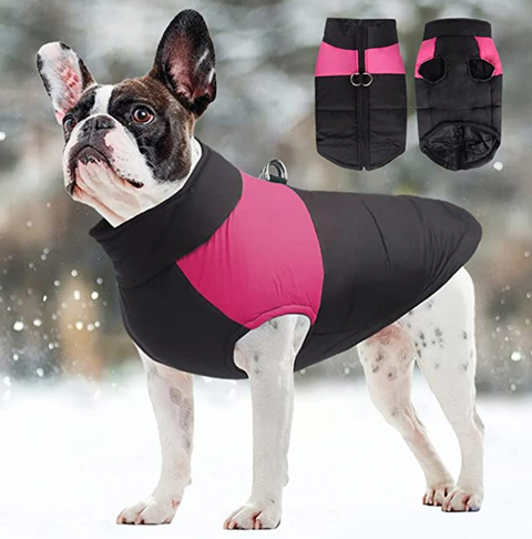 CozyPaws Hundejacke - Warm & Wasserdicht