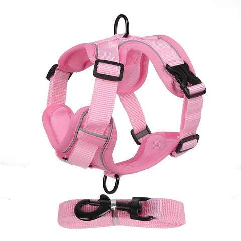 Reflektierendes Katzenharness und Leinen-Set – Ideal für Spaziergänge und Training