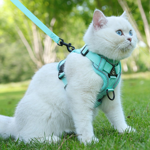 Reflektierendes Katzenharness und Leinen-Set – Ideal für Spaziergänge und Training