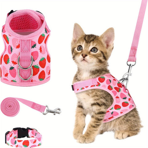 KittyComfort Geschirrset - Für Gemütliche Spaziergänge und Abenteuer