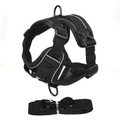 Reflektierendes Katzenharness und Leinen-Set – Ideal für Spaziergänge und Training