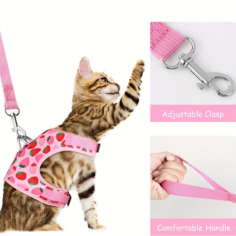 KittyComfort Geschirrset - Für Gemütliche Spaziergänge und Abenteuer