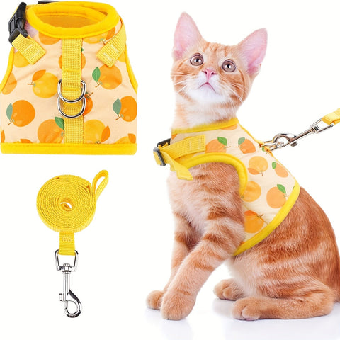 KittyComfort Geschirrset - Für Gemütliche Spaziergänge und Abenteuer