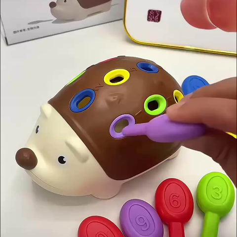 Süßes Igel Lernspielzeug - Lernen und Spielen