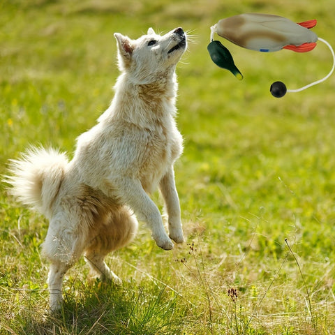 Mallard Retriever – Nachhaltiges Plastikente Bumper Trainingsspielzeug