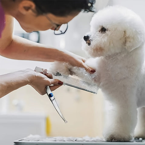 Professionelles Pflege-Set für Haustiere – Scheren und Kamm für die perfekte Pflege von Hunden und Katzen